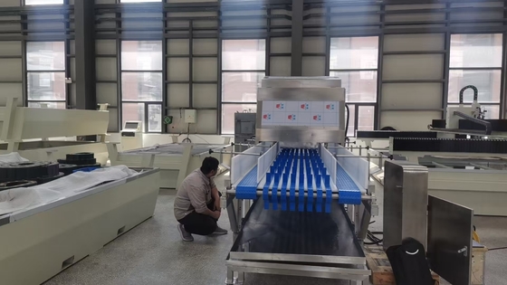 WAMIT waterjet cutter cut vegetables by  pure water
