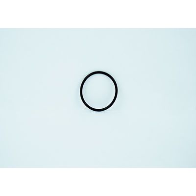 15064-2 O-RING for 87000PSI Intensifier Pump